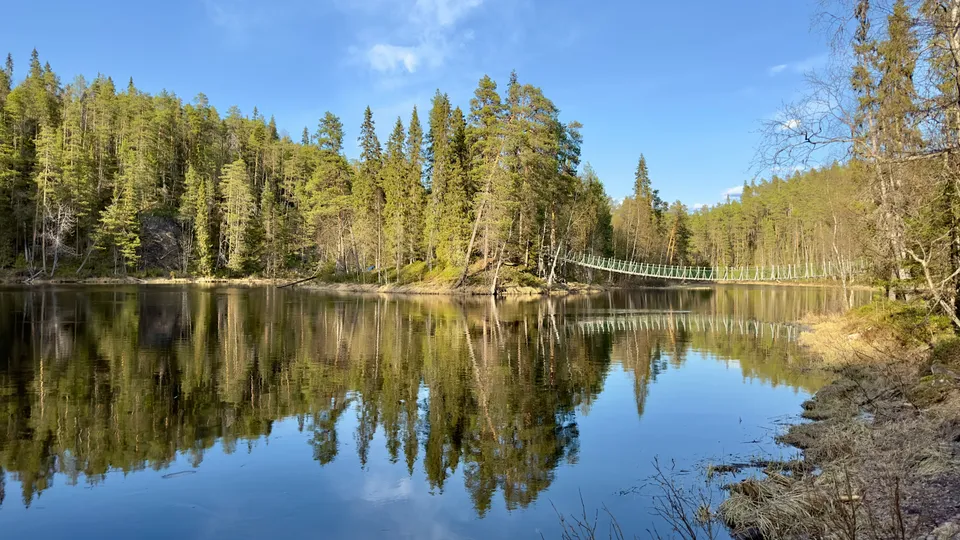 Lac d’été bordé de pins, la forêt se reflète dans l’eau calme.